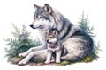 A realistic illustration depicts an adult wolf and a pup sitting together Royalty Free Stock Photo